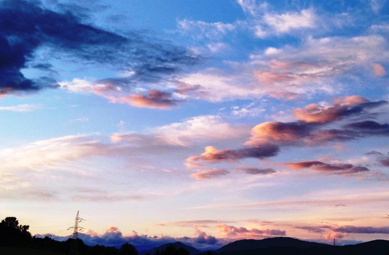 La Livada Villa Valea Danului Buitenkant foto
