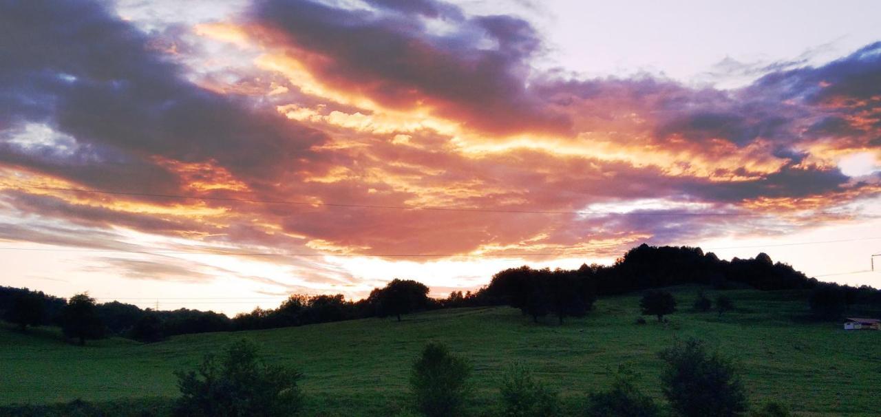 La Livada Villa Valea Danului Buitenkant foto