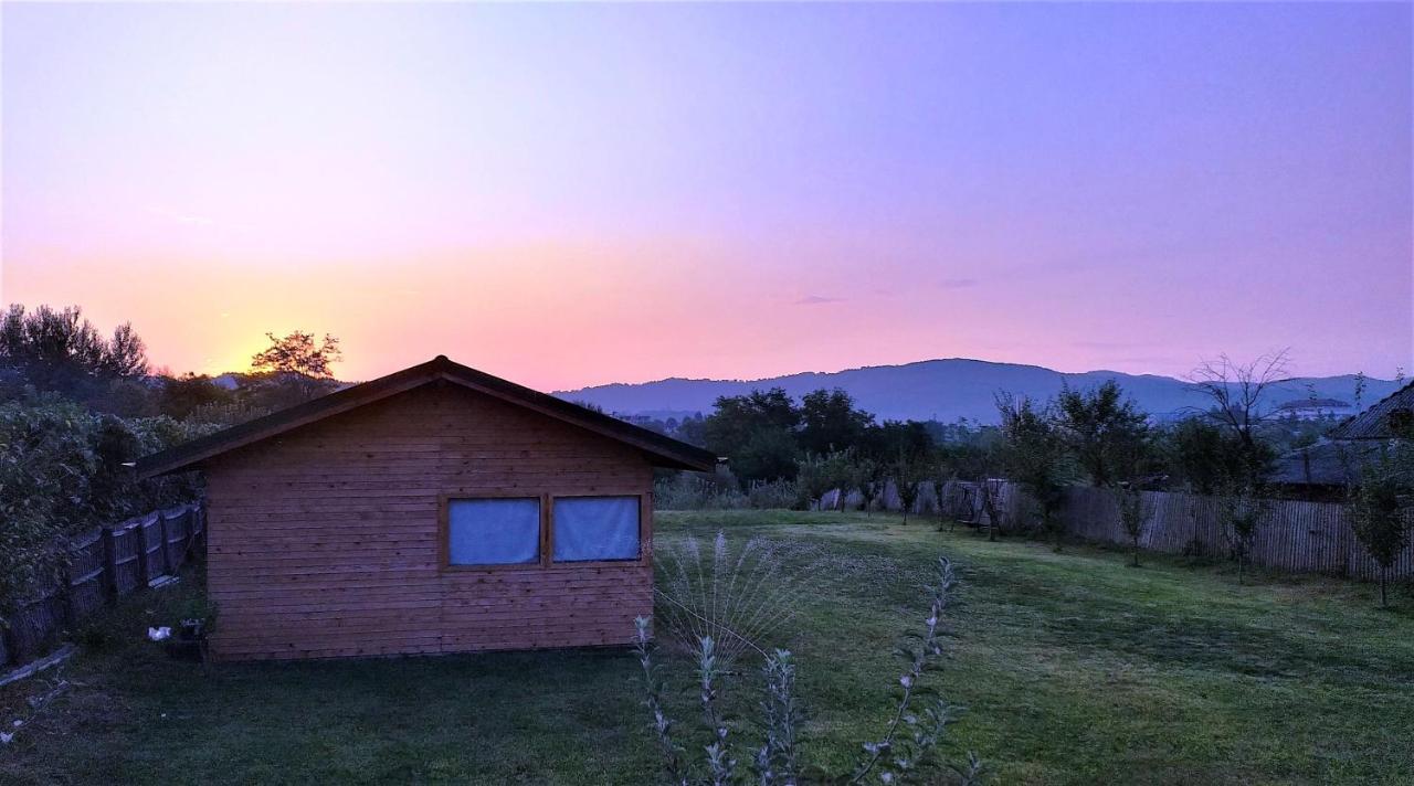 La Livada Villa Valea Danului Buitenkant foto