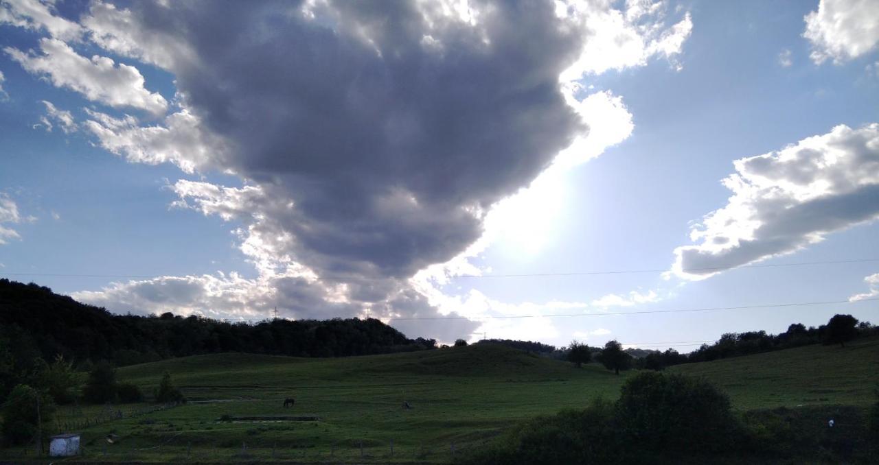 La Livada Villa Valea Danului Buitenkant foto
