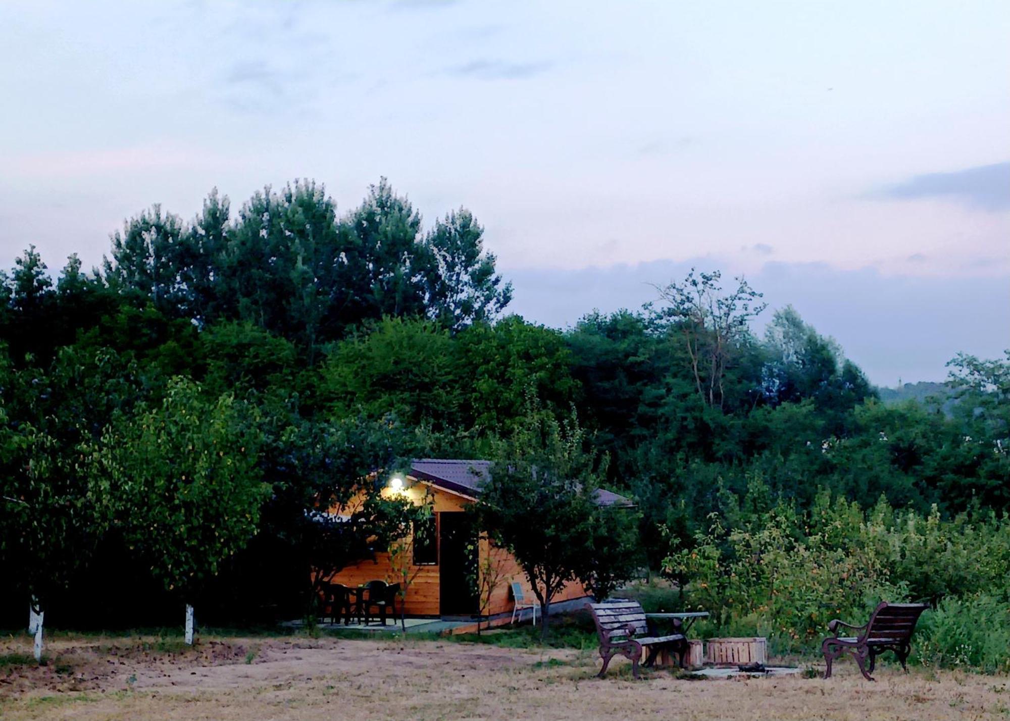 La Livada Villa Valea Danului Buitenkant foto